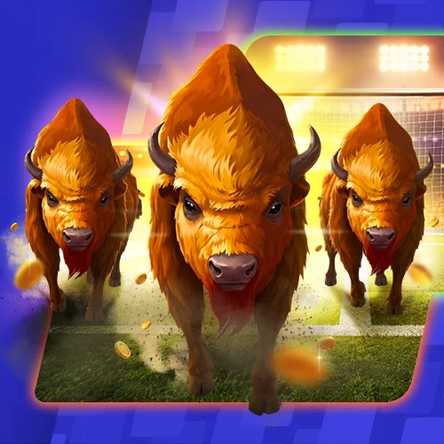 tournament